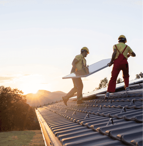 Professional insight